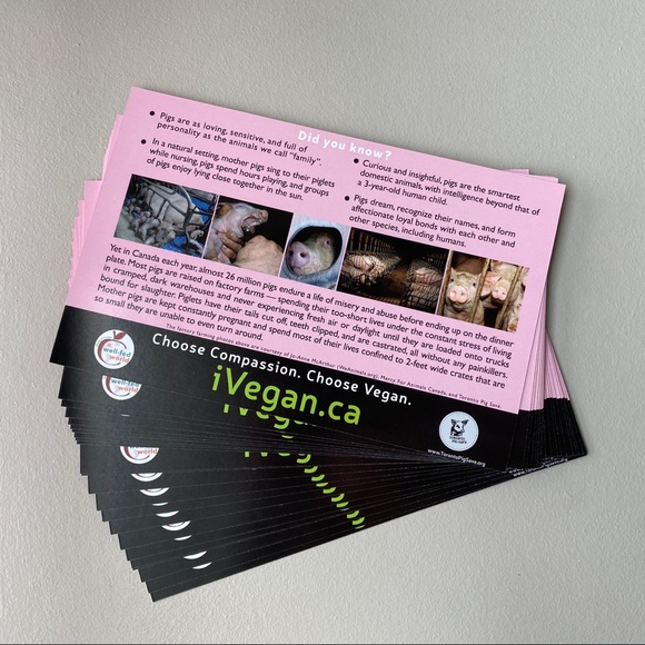 FREE ADD ON - Veg starter kits / recipes, flyers, brochures - Picture 4 of 8